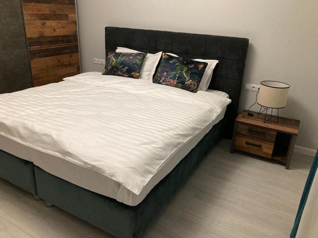 Sibiu Ezonia Central Apartment Zewnętrze zdjęcie